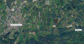 Laas / Tschengls: Obstwiese mit ca. 2.410 m² zu verkaufen Laas / Tschengls: Obstwiese mit ca. 2.410 m² zu verkaufen