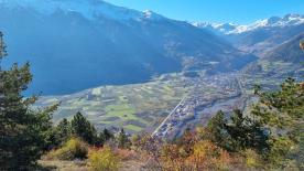 Landwirtschaftliches Grundstück in Prad am Stilfserjoch zu verkaufen Landwirtschaftliches Grundstück in Prad am Stilfserjoch zu verkaufen