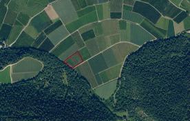 Latsch: Obstwiese mit ca. 5.600 m² zu verkaufen Latsch: Obstwiese mit ca. 5.600 m² zu verkaufen