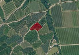 Latsch/Tarsch: Obstwiese mit ca. 1.800 m² zu verkaufen Latsch/Tarsch: Obstwiese mit ca. 1.800 m² zu verkaufen