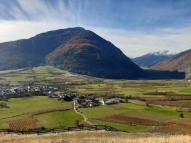 Wiese mit ca. 3.800 m² in Glurns zu verkaufen Wiese mit ca. 3.800 m² in Glurns zu verkaufen