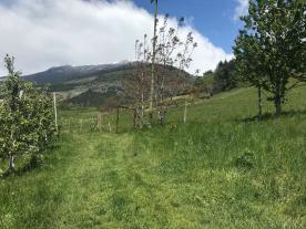 Wiese, obstbaufähig am Dorfrand von Schluderns zu verkaufen Wiese, obstbaufähig am Dorfrand von Schluderns zu verkaufen